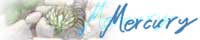 Mercury�@�F�܂񂪁E�A�j���E���B